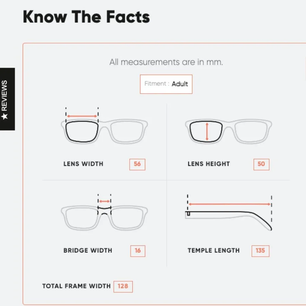 Authentic Tiffany & Co Sunglasses TF 4092 Havana / Blue Frame | Brown - Picture 7 of 7